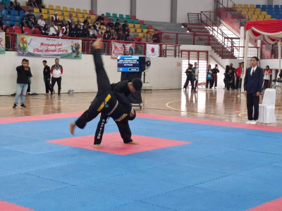 Hapkido