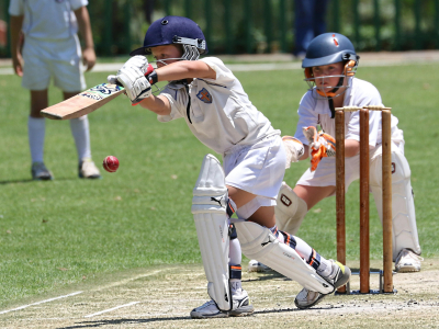 Cricket