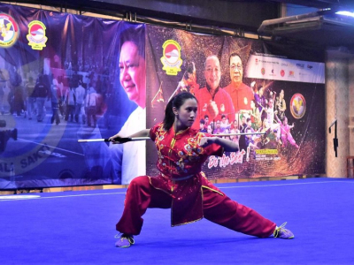 Wushu